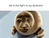 Seal He Is The Light In My Darkness GIF - Seal He Is The Light In My Darkness Silly GIFs