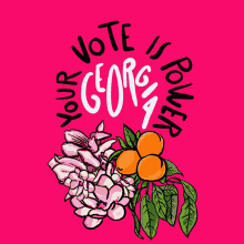 Your Vote Is Power Georgia Georgia GIF