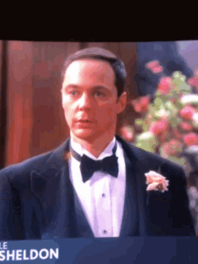 Sheldon Cooper GIF