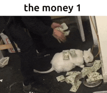 The Money 1 The Bread GIF - The Money 1 The Money Money 1 GIFs