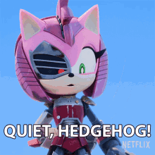 Quiet Hedgehog Rusty Rose GIF - Quiet Hedgehog Rusty Rose Sonic Prime GIFs