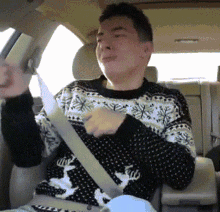 Christmas In The Car GIF