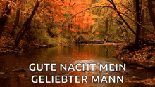 Autumn Leaves Water Rain GIF - Autumn Leaves Water Rain GIFs