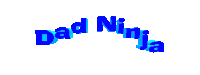 a logo for dad ninja is displayed on a white background