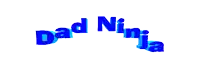 a logo for dad ninja is displayed on a white background