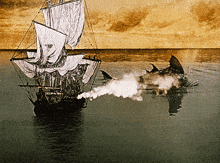 a sailboat is being attacked by a shark in the ocean