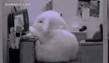Sleeping Bunny Office Bunny GIF - Sleeping Bunny Office Bunny Office GIFs