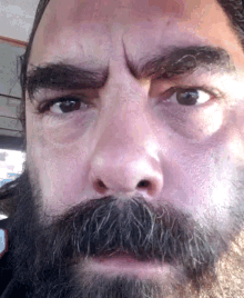 Selfie Beard GIF