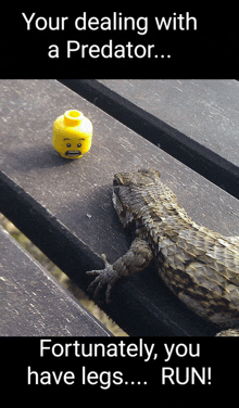 a lizard is laying on a wooden table next to a yellow lego head