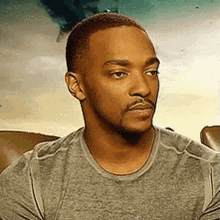 Anthony Mackie Straight Face GIF - Anthony Mackie Straight Face Bored GIFs