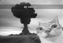 a black and white photo of a cat in front of an explosion with ay cabron written above it