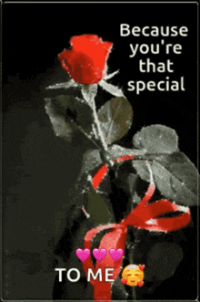 because you 're that special to me with a red rose and hearts