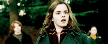 Srsly? GIF - Harry Potter Hermione Emma Watson GIFs