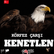 a picture of a bald eagle with the words " korfez carsi kenetlen " below it