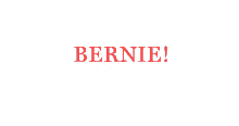 Bernie 2020 GIF - Bernie 2020 Sanders GIFs