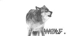 howl wolf
