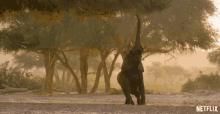 Reaching For Food Our Planet GIF - Reaching For Food Our Planet From Deserts To Grasslands GIFs