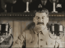 Stalin Insects GIF - Stalin Insects GIFs
