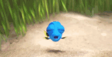 Dory Finding GIF - Dory Finding Sorry GIFs