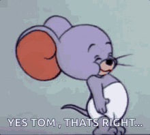 yes tom thats right nodding tom and jerry
