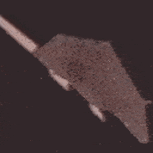 Rat Spinning GIF - Rat Spinning Mouse GIFs