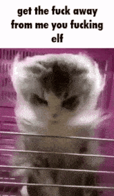 a cat in a cage with the words get the fuck away from me you fucking elf on the bottom