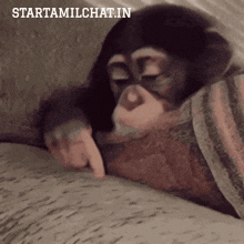 a monkey is laying on a blanket with the words starttamilchat.in written on the bottom