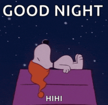 a cartoon of snoopy laying on a bed with the words " good night " written above him