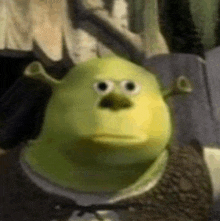 Shrek Disappointed Disappointed Shrek GIF