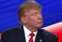 Donald Trump Dismissive GIF - Donald Trump Dismissive No GIFs