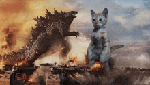 a cat is standing next to a giant monster