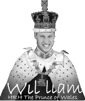 a picture of william the prince of wales