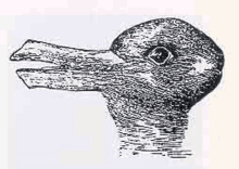 Duckrabbit Rabbitduck GIF