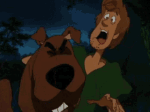 scoobydoo zoinks shaggy surprised surprise