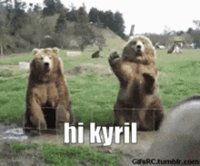 Hi Kyril GIF - Hi Kyril GIFs