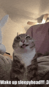 a cat with its tongue out and the words wake up sleepyhead !!!