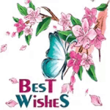Best Wishes Flower Petals GIF - Best Wishes Flower Petals GIFs