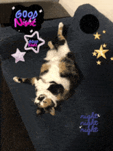 a calico cat laying on its back on a couch with a good night message