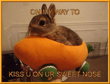 Bnnuy Kiss Carrotmobile GIF - Bnnuy Kiss Carrotmobile GIFs