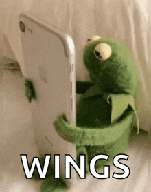 a kermit the frog is holding a cell phone in its hands .