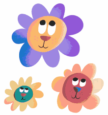 flowers spring