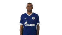 S04 Schalke Sticker - S04 Schalke Schalke04 Stickers