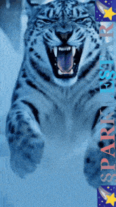 a snow leopard is jumping in the air with its tongue hanging out and the words sparkling star behind it
