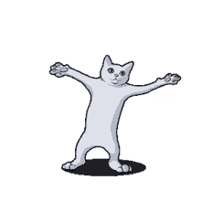 cat dancing cato white cat dance