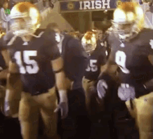 Notre Dame GIF - Notre Dame Fighting Irish GIFs