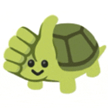Turtle GIF - Turtle GIFs