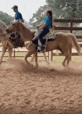 Horse Girl Wilding Out GIF - Horse Girl Wilding Out Unusual Move GIFs