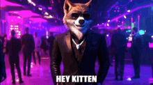 a picture of a dog in a suit with the words hey kitten below it