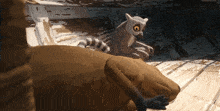 a lemur sits on top of a brown animal