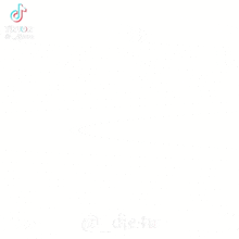 a picture of a tik tok video with the words phai tinh ta phai theo giac .